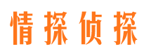 龙安出轨调查